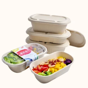 Custom Eco Friendly Biodegradable Sugarcane Pulp Lunch Box Food Packaging Containers with Lid