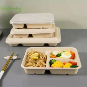 White Square Pulp Burger Box 5 Pocket Bagasse 3 Compartment Sugarcane Container With Lid