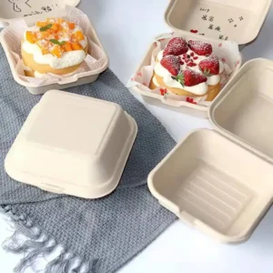 Sugar Cane Lunch Box with Lid Bagasse Lunch Box Biodegradable Lunch Box