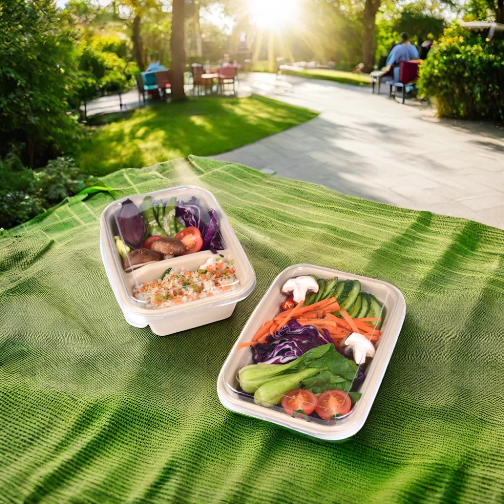 Compostable 100% Natural Paper Pulp 1000ml Rigid Disposable Biodegradable Matt Lamination Food Container Bagasse Go Box - Image 2