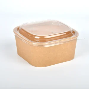Factory Direct Sale Takeaway 650ml Salad to Go square Ramen Paper Serving Bowls