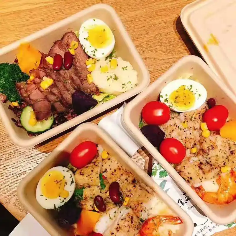 Factory Wholesale Serum Square Bagass Food Bagasse 2 Compartment Takeway With Lid Sugarcane Sauce Container - Image 3
