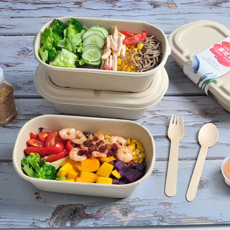 850ml 2cells Pulp Food Container with Lids. Disposable Container Bulk Leakproof and Microwave Safe for Hot/Cold Use - Image 2