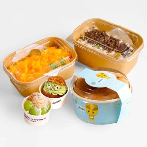 Eco-friendly Disposable Food Packaging Baking Cake Dessert Salad Paper Bowl with Lid 200°C CPET Oven Bowl