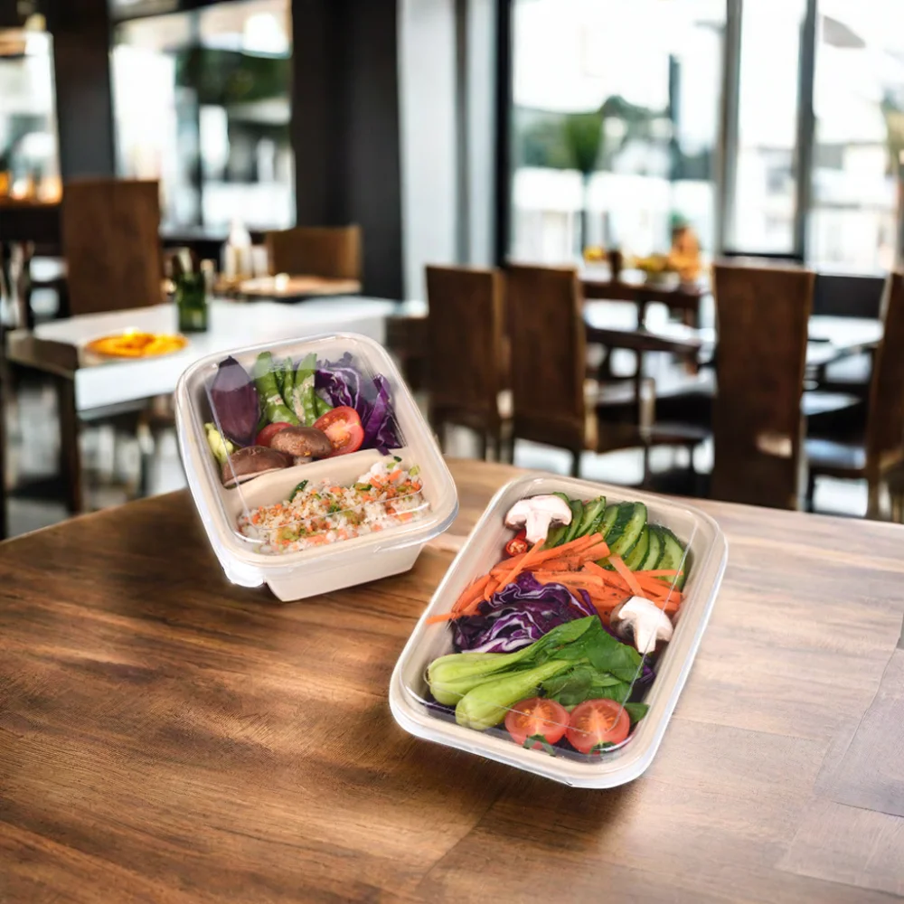 Compostable 100% Natural Paper Pulp 1000ml Rigid Disposable Biodegradable Matt Lamination Food Container Bagasse Go Box - Image 3