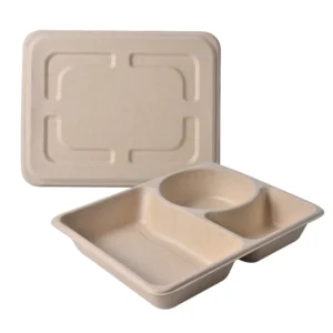 Biodegradable 4 Compartment Takeaway Food Containers for Fast Food Restaurant