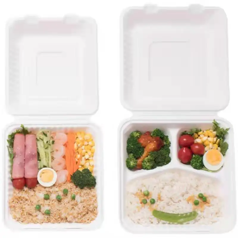Eco 8*8 INCH Compostable Sugarcane Bagasse Pulp Lunch Box Biodegradable Fast Food Clamshell - Image 5