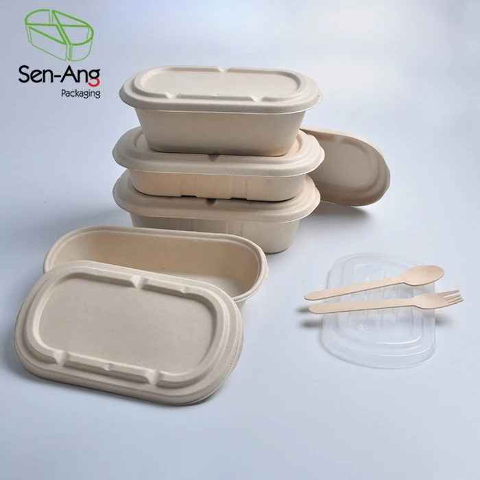 Multi Take Away Lid Pulp Compartment Clam Shell Container Sugarcane Bagasse Food Box 9X6 - Image 6