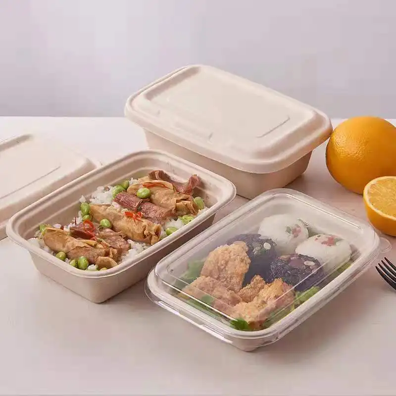 Factory Wholesale Serum Square Bagass Food Bagasse 2 Compartment Takeway With Lid Sugarcane Sauce Container - Image 4