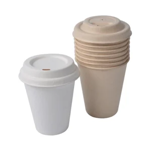Custom Disposable Eco-Friendly Sugarcane Pulp Biodegradable Coffee Cup with Lid