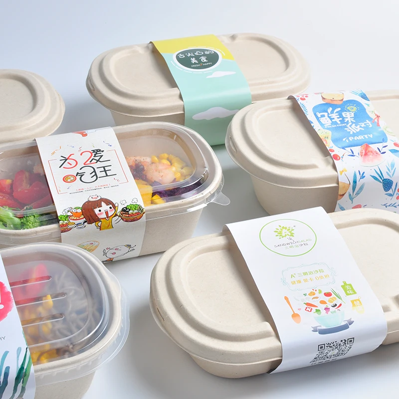 850ml 2cells Pulp Food Container with Lids. Disposable Container Bulk Leakproof and Microwave Safe for Hot/Cold Use - Image 5