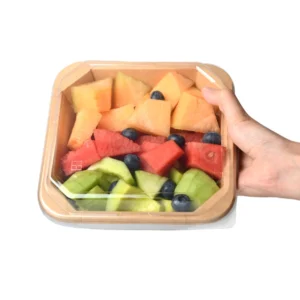 Food Take Away Food Lunch Kraft Paper Box With Lid Salad Fruit Paper Bowls Hamburger Take-out Packaging Containers