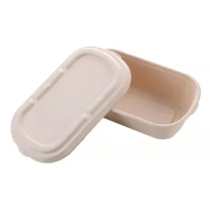 Disposable 700ml 850ml 1000ml Biodegradable Lunch Paper Pulp Bagasse Sugarcane Food Boxes for Packiging