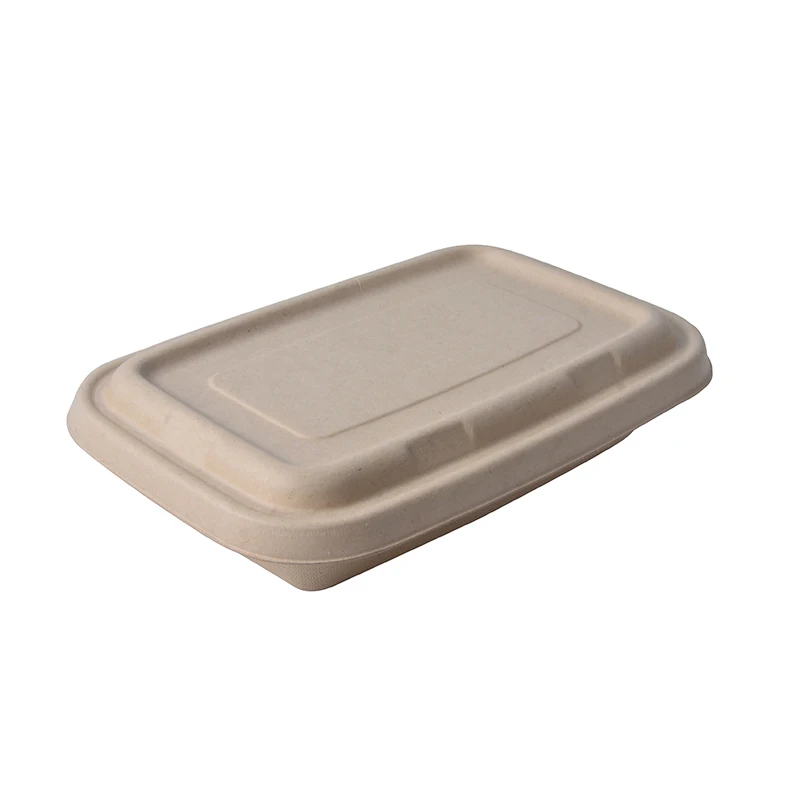 700ml 850ml 1000ml Disposable Bagasse Sugarcane Food Biodegradable Box Packaging - Image 5