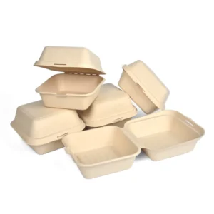 Disposable Paper Pulp Bagasse Biodegradable Burger Clamshell to Go Food Container Sushi Box