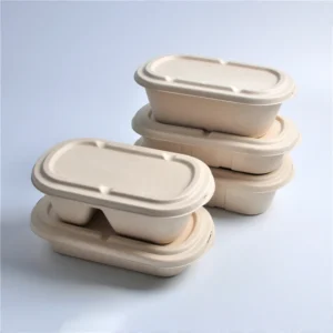 Disposable 700ml 850ml 1000ml Paper Pulp Sugarcane Bagasse Biodegradable Lunch Box