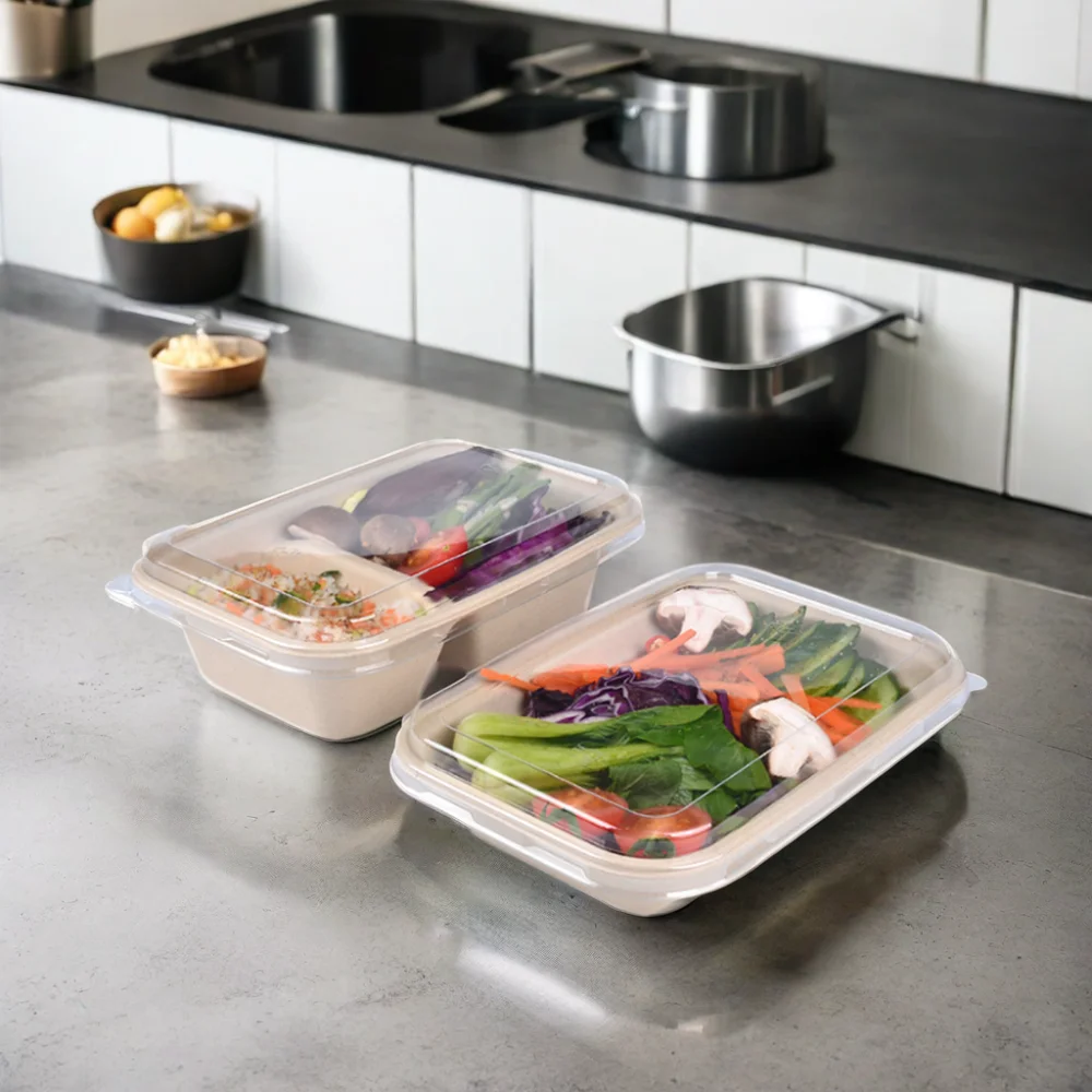 Compostable 100% Natural Paper Pulp 1000ml Rigid Disposable Biodegradable Matt Lamination Food Container Bagasse Go Box - Image 5