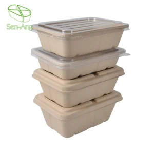 Best Price Multi Compartment Food Pulp Lunch Box With Lid Wholesale Disposable Sugarcane Bagasse Paper Plate