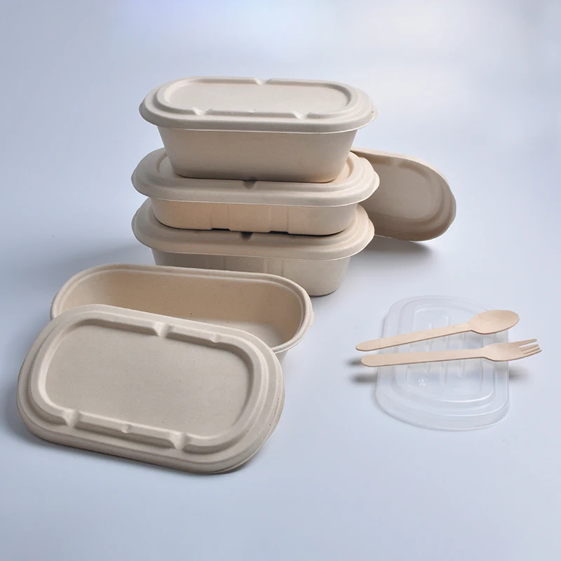 850ml 2cells Pulp Food Container with Lids. Disposable Container Bulk Leakproof and Microwave Safe for Hot/Cold Use - Image 6