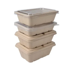 Biodegradable UV Coated 1000ml Square Takeout Lunch Food Box with Bento Design for Sushi Potato Chips & Baby Food