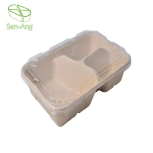 Bento Pulp 2 Compartment Lunch With Lid Takeout Container Takeaway Sugarcane Bagasse Take Away Food Box
