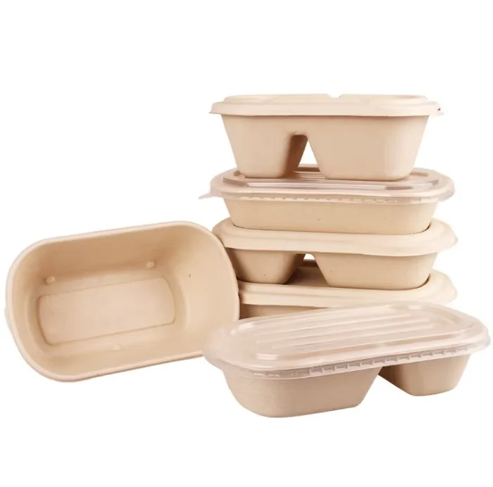Multi Take Away Lid Pulp Compartment Clam Shell Container Sugarcane Bagasse Food Box 9X6