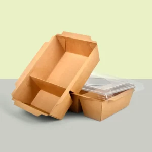 Hot Selling Leakage-Proof Packing Meal Box Large Capacity Kraft Paper Takeaway 500Ml Food Container With Division