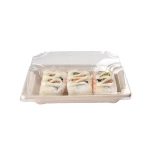 Disposable Paper Pulp Sugarcane Biodegradable Bagasse Sushi Take Away Takeout Box
