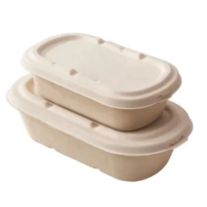 850ml 1000ml Disposable Biodegradable Lunch Sugarcane Pulp Lid to Food Container
