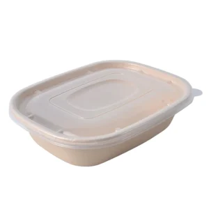 Disposable Lunch Box Microwave Takeaway Biodegradable Food Packaging Container