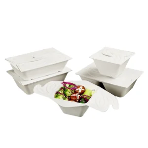 Eco-Friendly Disposable Lunch Box Customizable Sugarcane Bagasse Food Container Degradable Clamshell Pulp Box