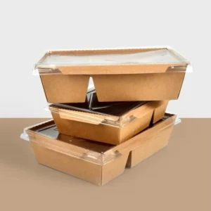 New Product Pasta Take Away Snack Cookie Fried Chicken 1200Ml Paper Packing Box for Food Two Cell Container
