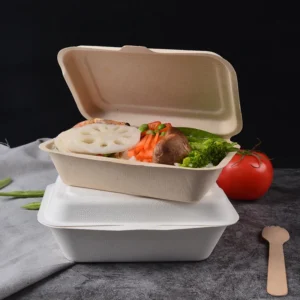Biodegradables Eco Friendly Compostable Clamshell Sugarcane Pulp Food Box Biodegradable Packaging