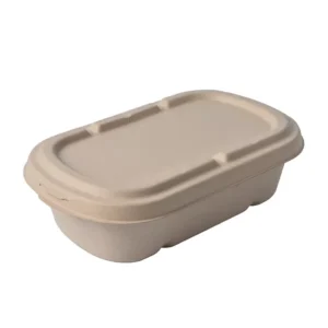 New Product Environmental Pulp With Lid Takeout Bagasse Takeaway Biodegradable Bento Box Take Food Container Sugarcane