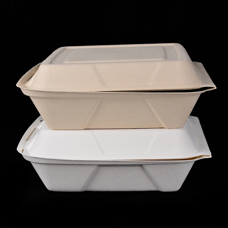 Eco 8*8 INCH Compostable Sugarcane Bagasse Pulp Lunch Box Biodegradable Fast Food Clamshell - Image 3