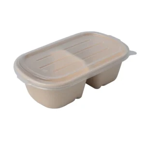 Disposable 700ml 850ml 1000ml Paper Pulp Sugarcane Biodegradable Bagasse Lunch Box