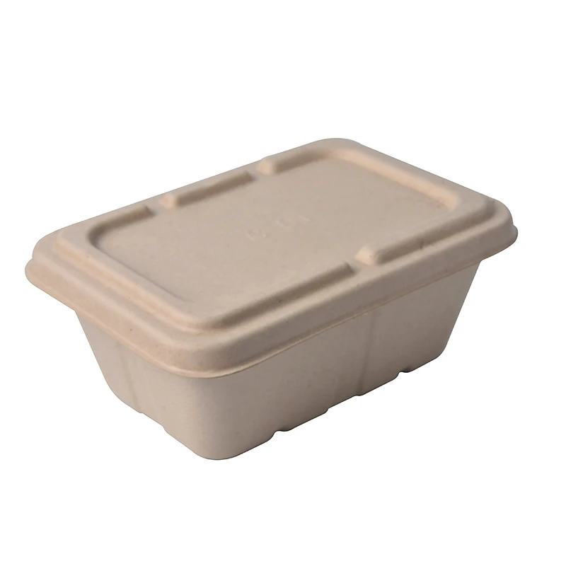 700ml 850ml 1000ml Disposable Bagasse Sugarcane Food Biodegradable Box Packaging - Image 4
