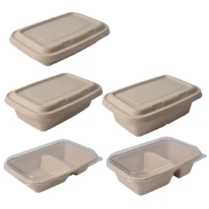 Wholesale Custom Disposable Biodegradable Food Packaging Container with Lid