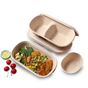 Disposable 700ml 850ml 1000ml Paper Pulp Bagasse Sugarcane Biodegradable Packaging for Food