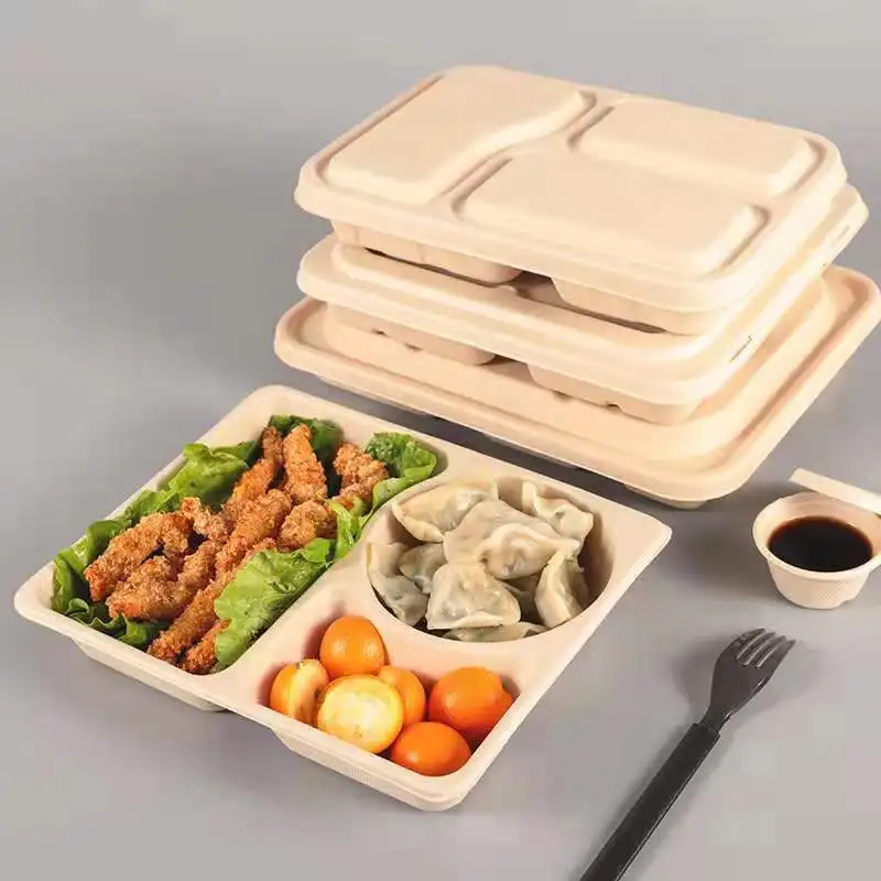 Factory Wholesale Serum Square Bagass Food Bagasse 2 Compartment Takeway With Lid Sugarcane Sauce Container - Image 5