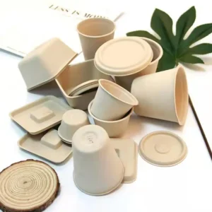 Eco-friendly Biodegradable Sugarcane Bagasse Bowl