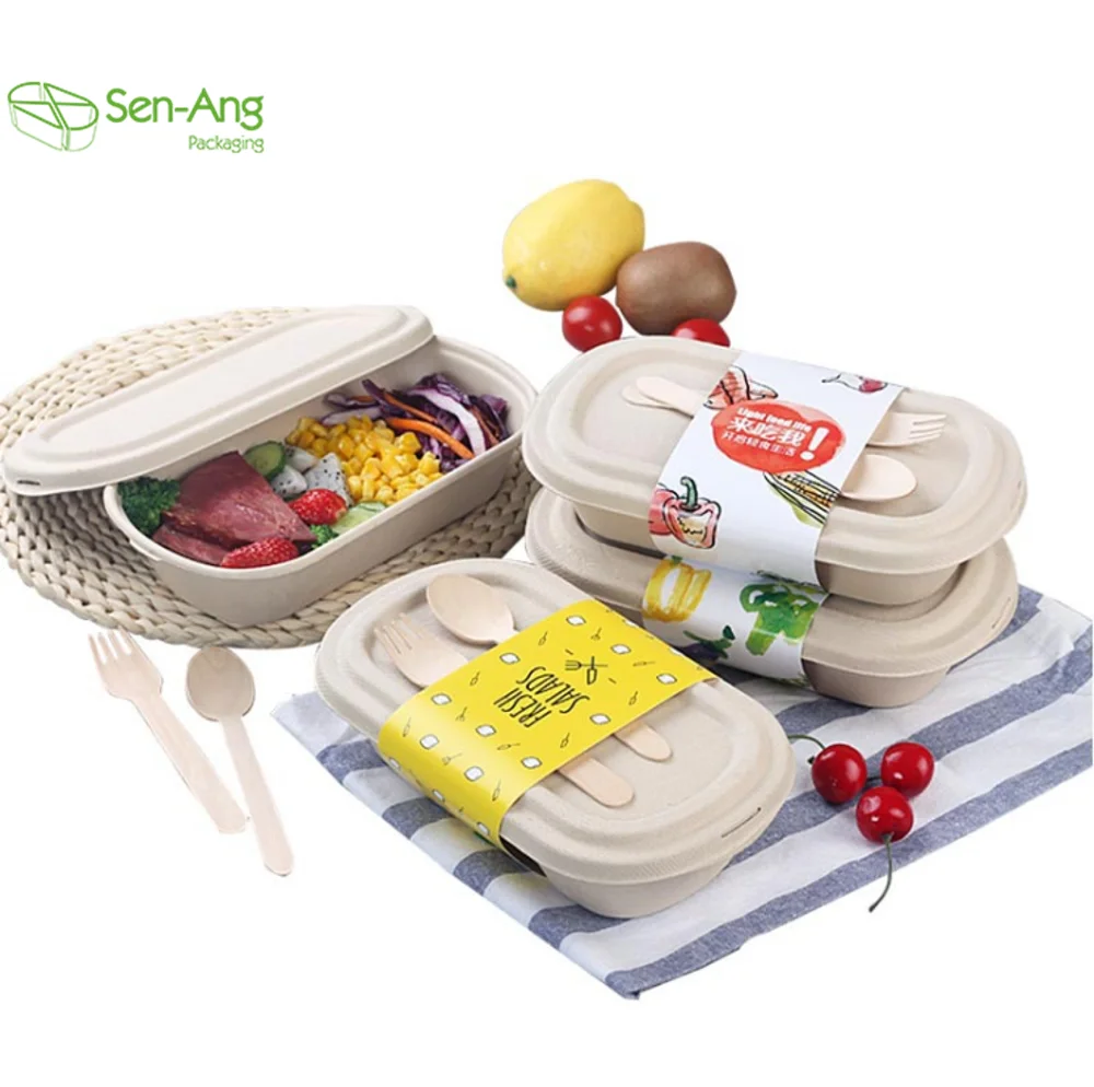 700ml 850ml 1000ml Disposable Biodegradable Lunch Paper Pulp Bagasse Sugarcane Box - Image 6