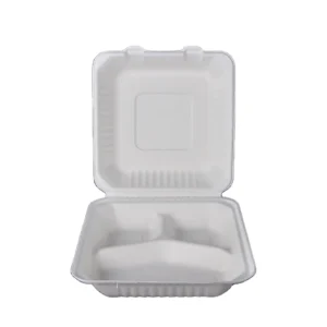 Custom Design Biodegradable Takeaway Sugarcane Bagasse Food Container