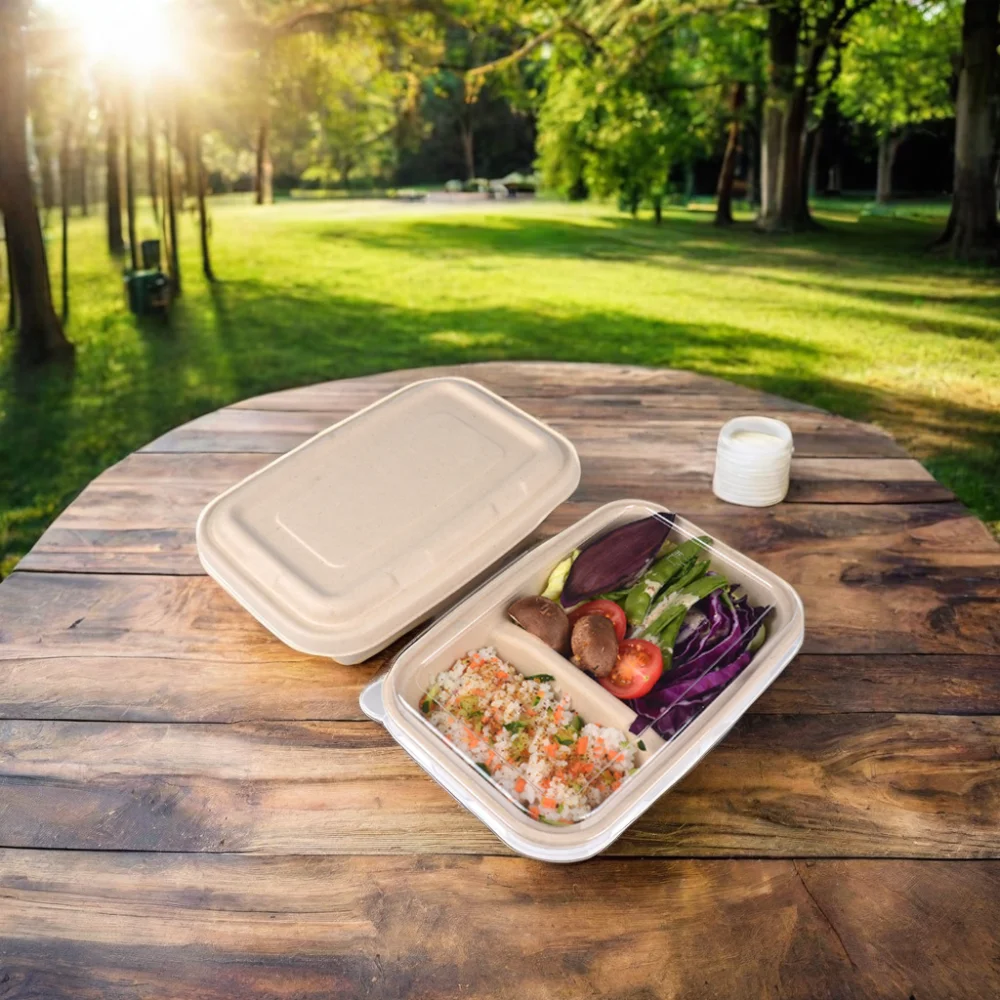 Compostable 100% Natural Paper Pulp 1000ml Rigid Disposable Biodegradable Matt Lamination Food Container Bagasse Go Box - Image 6