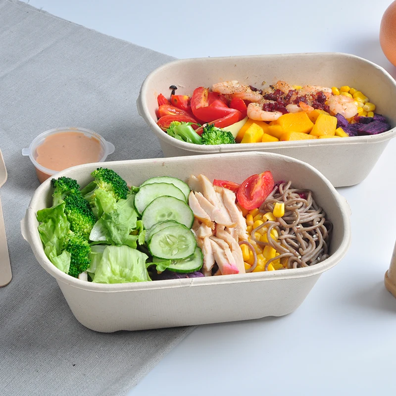 850ml 2cells Pulp Food Container with Lids. Disposable Container Bulk Leakproof and Microwave Safe for Hot/Cold Use - Image 4