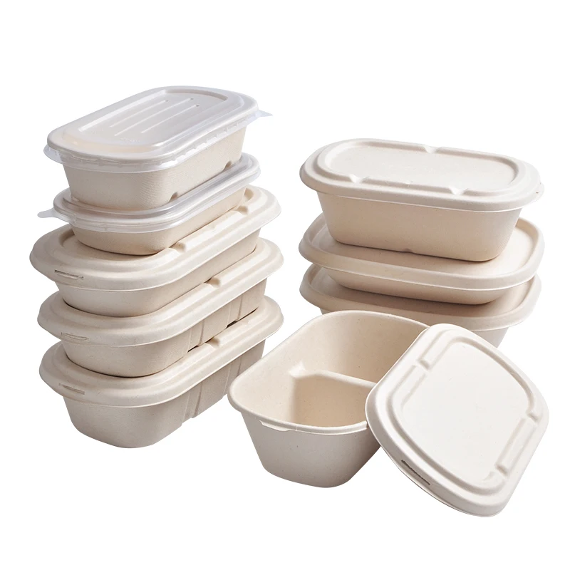Factory Wholesale Serum Square Bagass Food Bagasse 2 Compartment Takeway With Lid Sugarcane Sauce Container - Image 6