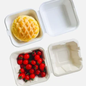 Wholesale Biodegradable Disposable Lunch Box Custom Multi Division Sugarcane Bagasse Pulp Food Containers Embossing Sushi Noodle