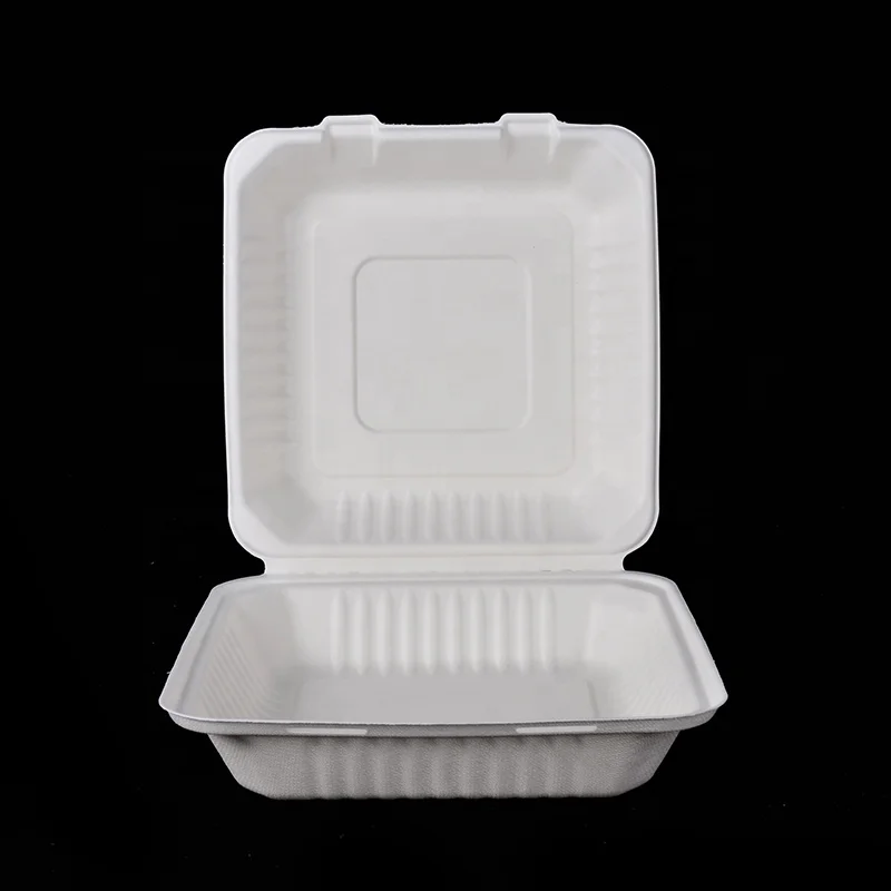 Eco 8*8 INCH Compostable Sugarcane Bagasse Pulp Lunch Box Biodegradable Fast Food Clamshell - Image 2