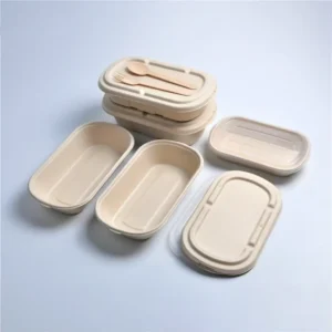 Factory Wholesale Away Bagasse Hamburger Pulp Way Meal Food Lid Sugar Cane Shipping 500Ml Sugarcane Take Out Lunch Box
