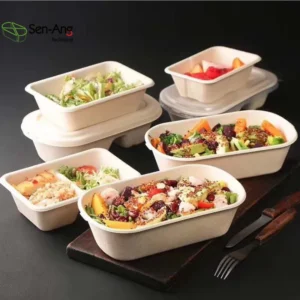 New Arrival Round Row Paper Way Meal Compartment Clam Take Away Food Pulp Plate Sugarcane Bagasse Lunch Box With Lid